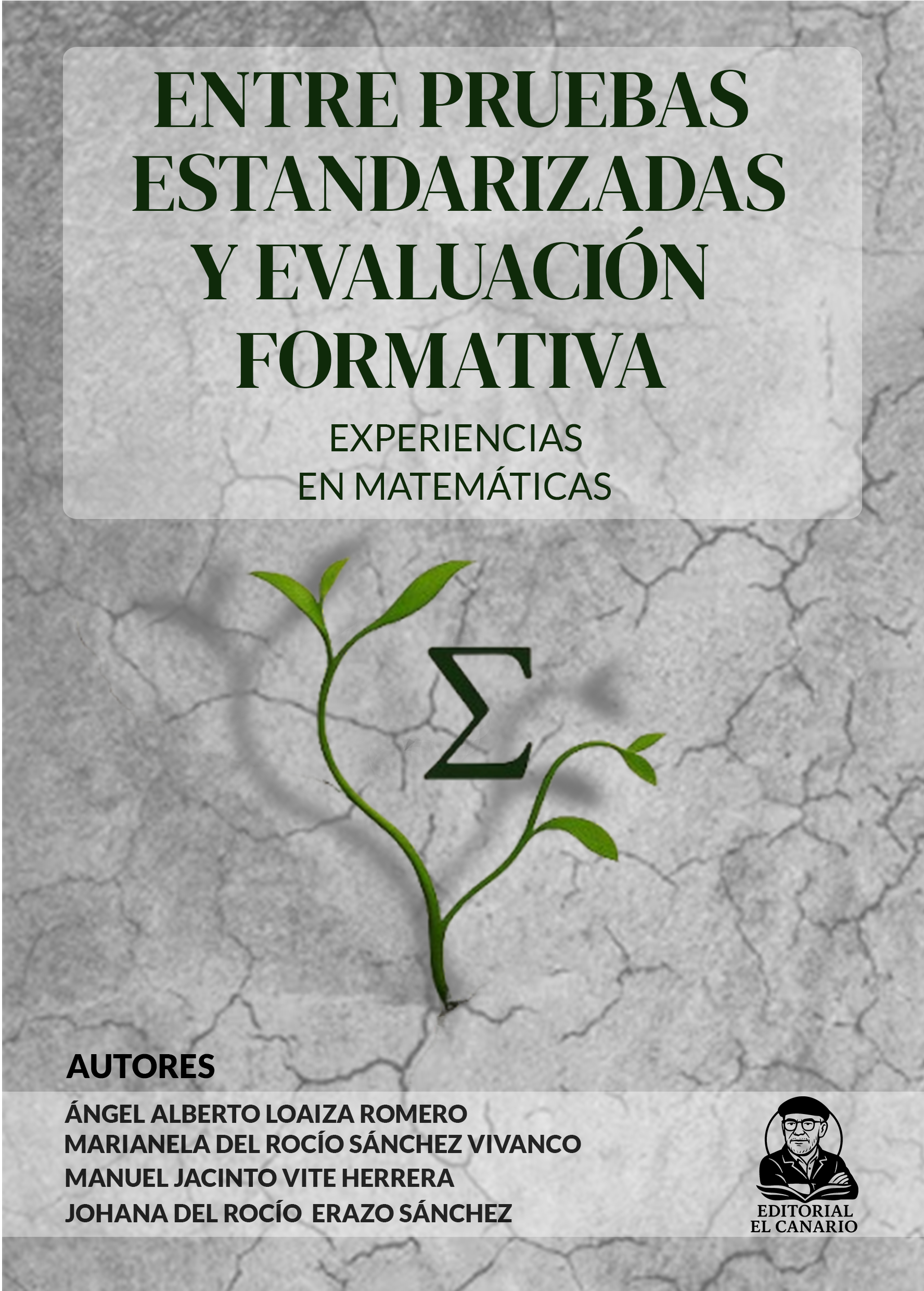 Entre Pruebas Estandarizadas y Evaluación Formativa: Experiencias en Matemáticas