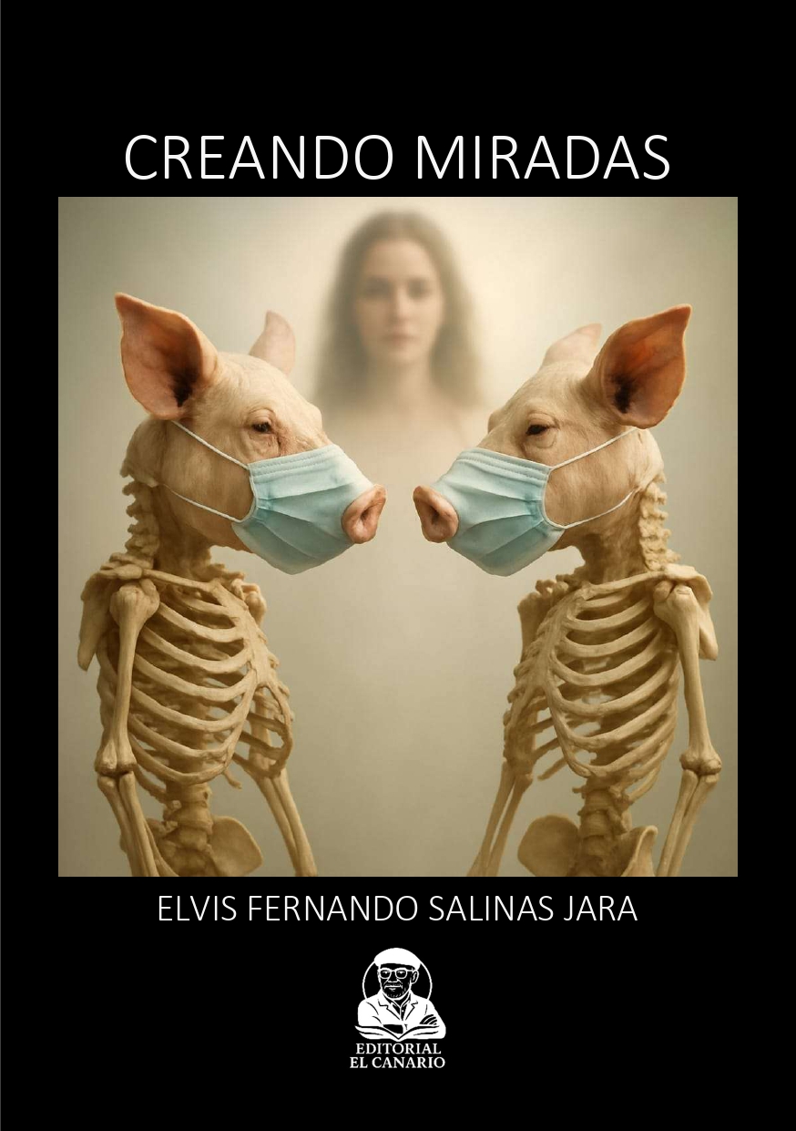 Creando miradas